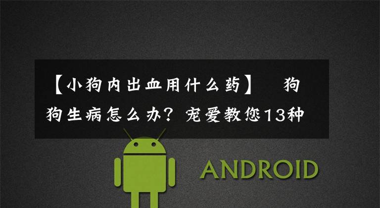 【小狗内出血用什么药】​狗狗生病怎么办？宠爱教您13种应急小药方