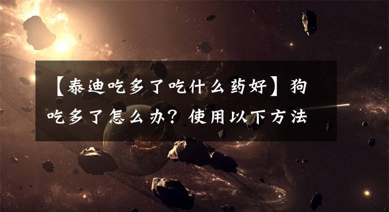 【泰迪吃多了吃什么药好】狗吃多了怎么办？使用以下方法，就不必再担心了