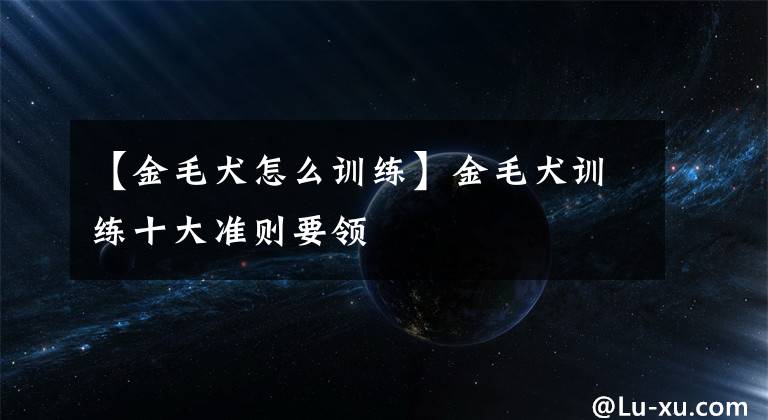 【金毛犬怎么训练】金毛犬训练十大准则要领