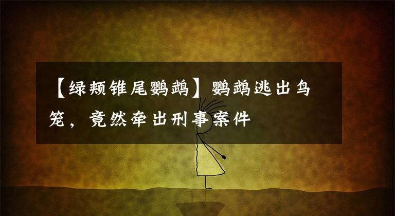 【绿颊锥尾鹦鹉】鹦鹉逃出鸟笼,竟然牵出刑事案件