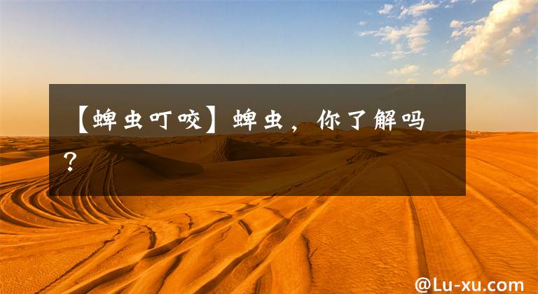 【蜱虫叮咬】蜱虫，你了解吗？