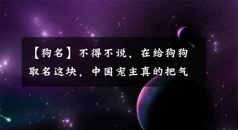 【狗名】不得不说，在给狗狗取名这块，中国宠主真的把气质拿捏得死死的