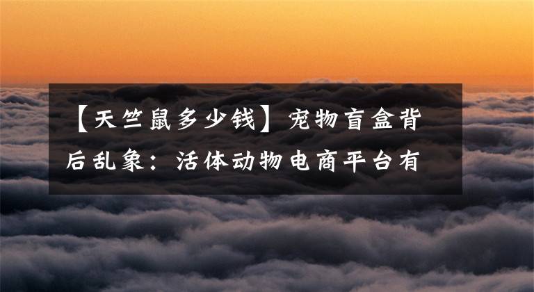 【天竺鼠多少钱】宠物盲盒背后乱象：活体动物电商平台有售，卖家称发普通快递