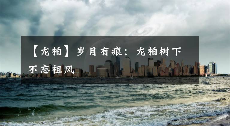 【龙柏】岁月有痕:龙柏树下不忘祖风
