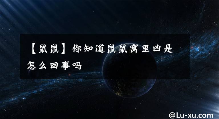 【鼠鼠】你知道鼠鼠窝里凶是怎么回事吗