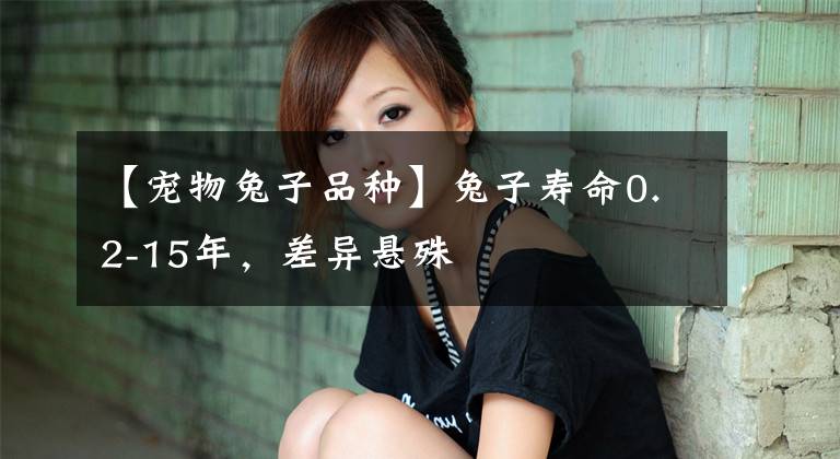 【宠物兔子品种】兔子寿命0.2-15年，差异悬殊