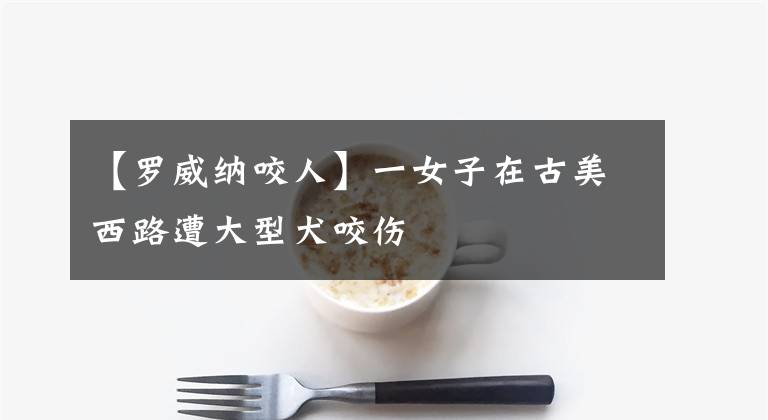 【罗威纳咬人】一女子在古美西路遭大型犬咬伤