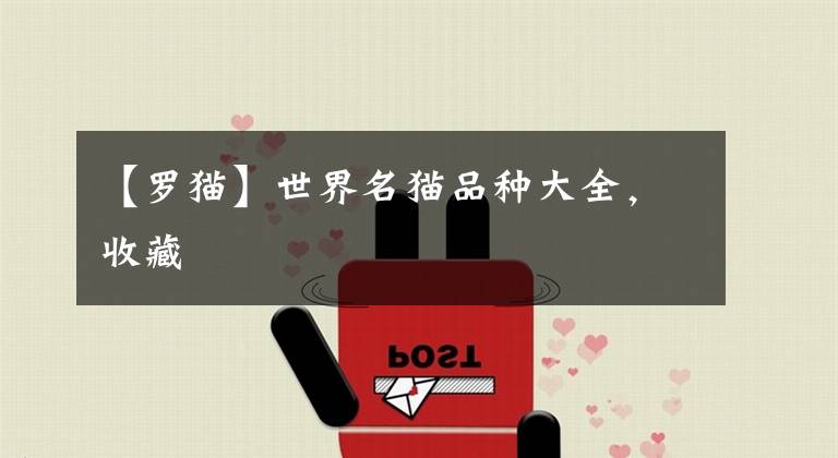 【罗猫】世界名猫品种大全,收藏