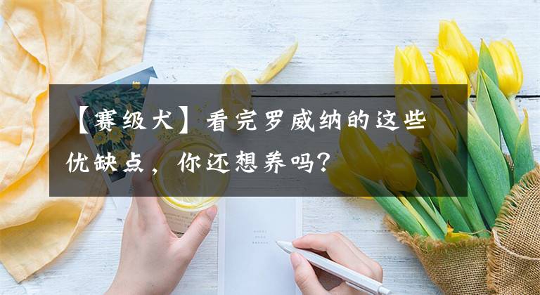 【赛级犬】看完罗威纳的这些优缺点,你还想养吗?