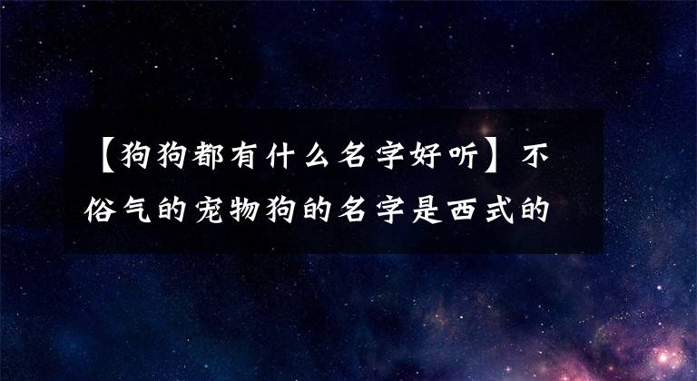 【狗狗都有什么名字好听】不俗气的宠物狗的名字是西式的,很好听-可爱