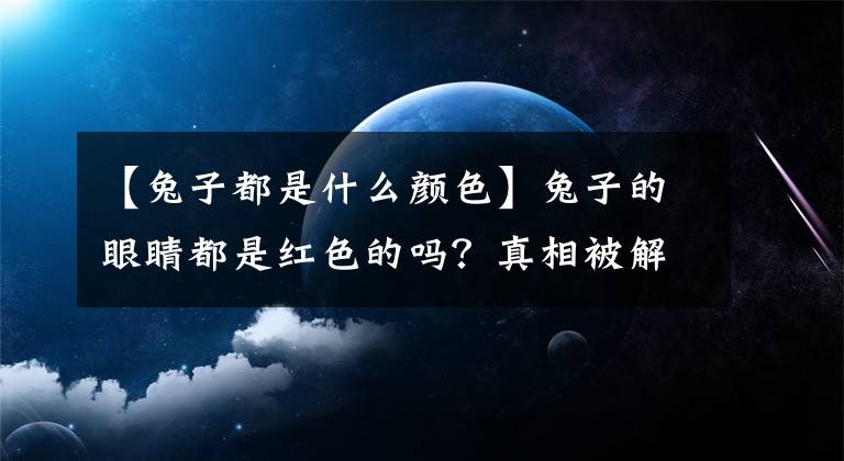 【兔子都是什么颜色】兔子的眼睛都是红色的吗?真相被解读了