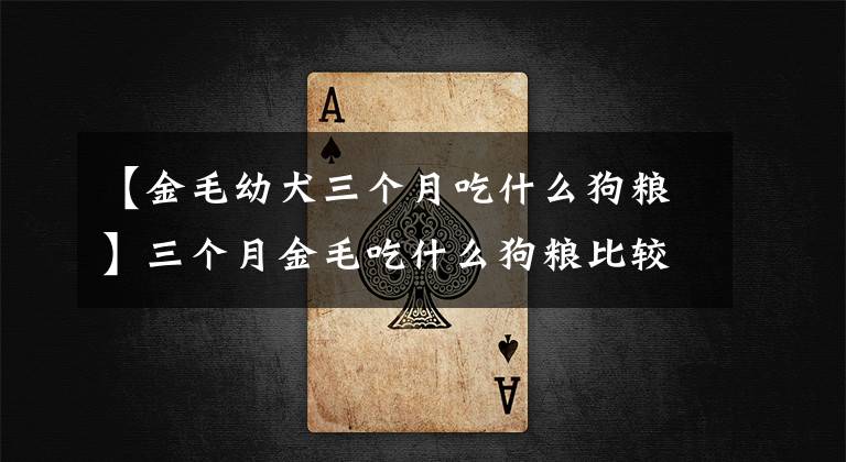【金毛幼犬三个月吃什么狗粮】三个月金毛吃什么狗粮比较好?请推荐一下