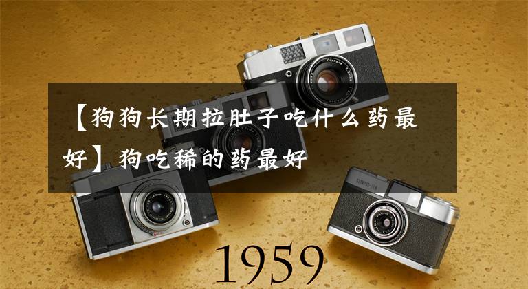 【狗狗长期拉肚子吃什么药最好】狗吃稀的药最好