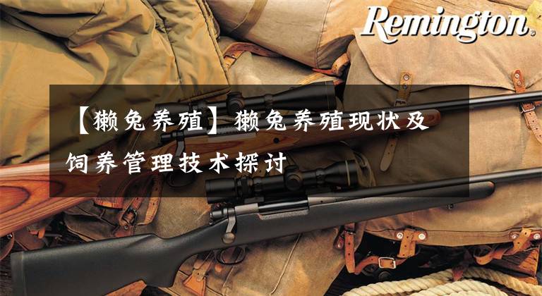 【獭兔养殖】獭兔养殖现状及饲养管理技术探讨