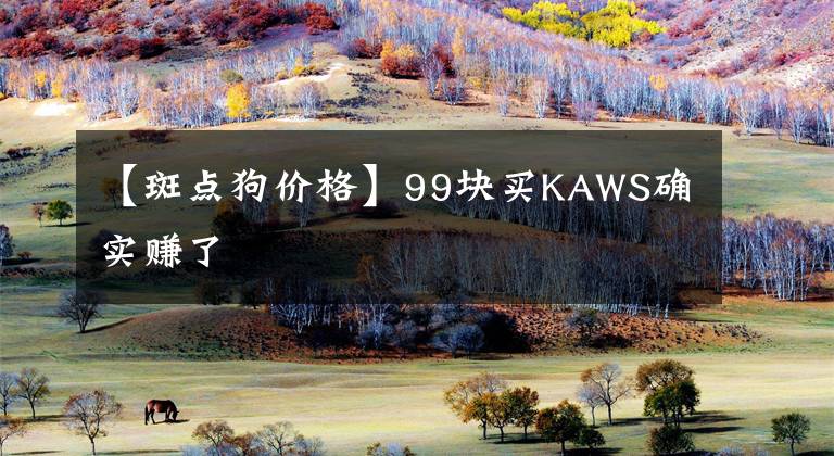 【斑点狗价格】99块买KAWS确实赚了