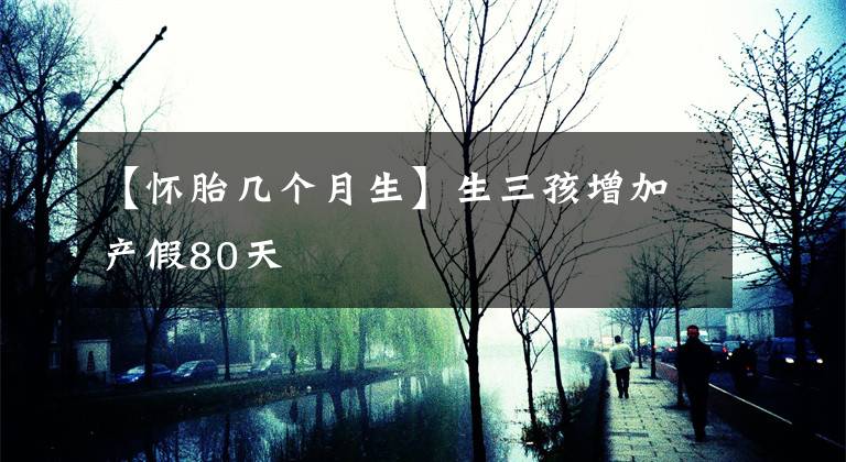 【怀胎几个月生】生三孩增加产假80天