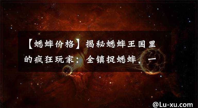 【蟋蟀价格】揭秘蟋蟀王国里的疯狂玩家:全镇捉蟋蟀,一只卖几万