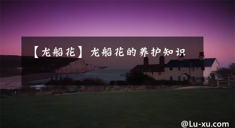 【龙船花】龙船花的养护知识