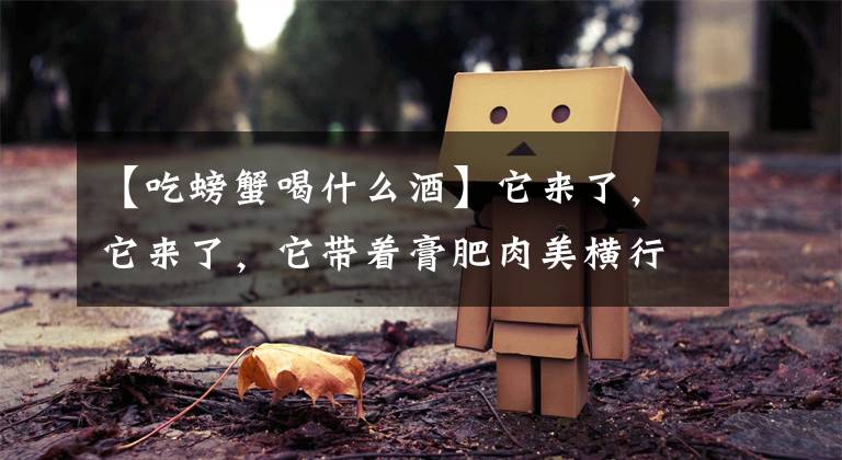 【吃螃蟹喝什么酒】它来了，它来了，它带着膏肥肉美横行着来了