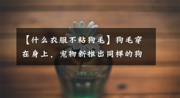 【什么衣服不粘狗毛】狗毛穿在身上,宠物新推出同样的狗毛针织衫