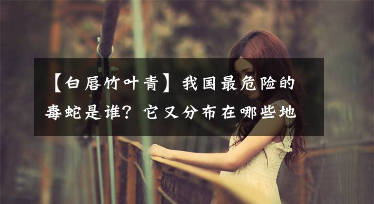 【白唇竹叶青】我国最危险的毒蛇是谁？它又分布在哪些地区呢？