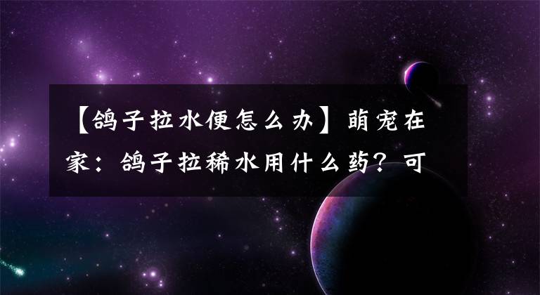 【鸽子拉水便怎么办】萌宠在家:鸽子拉稀水用什么药?可能是什么原因导致的?