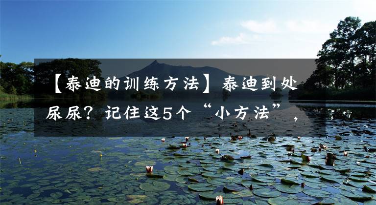 【泰迪的训练方法】泰迪到处尿尿?记住这5个“小方法”,让它轻松学会定点大小便