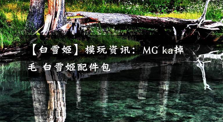 【白雪姬】模玩资讯：MG ka掉毛 白雪姬配件包