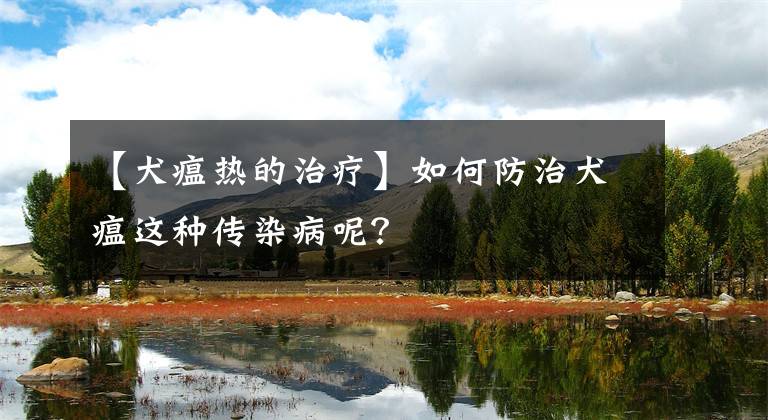 【犬瘟热的治疗】如何防治犬瘟这种传染病呢？