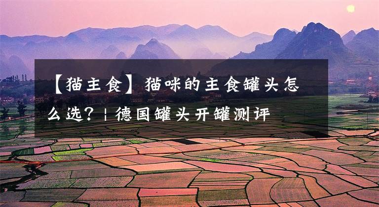 【猫主食】猫咪的主食罐头怎么选？| 德国罐头开罐测评