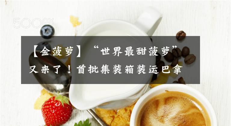 【金菠萝】“世界最甜菠萝”又来了!首批集装箱装运巴拿马金菠萝登陆上海