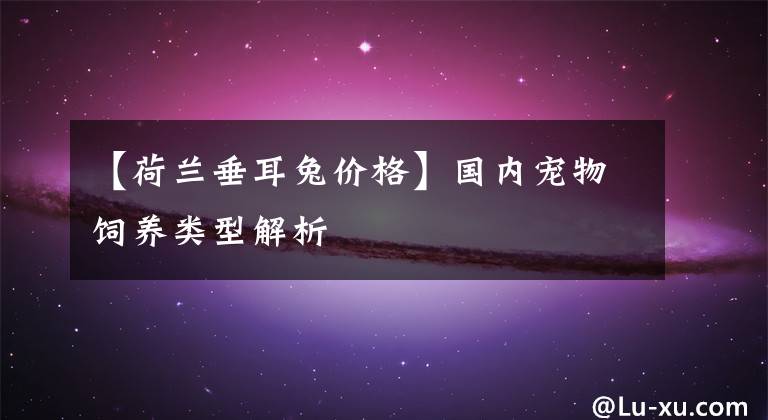 【荷兰垂耳兔价格】国内宠物饲养类型解析