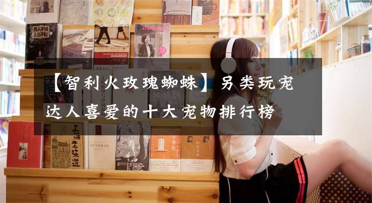 【智利火玫瑰蜘蛛】另类玩宠达人喜爱的十大宠物排行榜