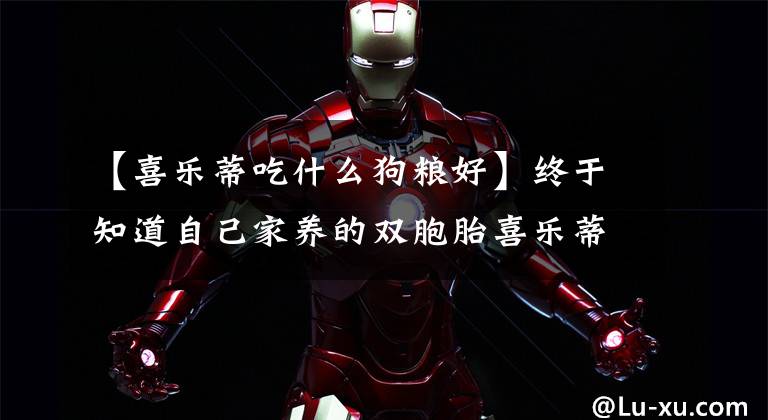 【喜乐蒂吃什么狗粮好】终于知道自己家养的双胞胎喜乐蒂为啥体型差距这么大了