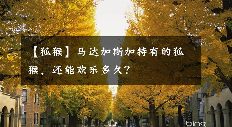 【狐猴】马达加斯加特有的狐猴，还能欢乐多久？