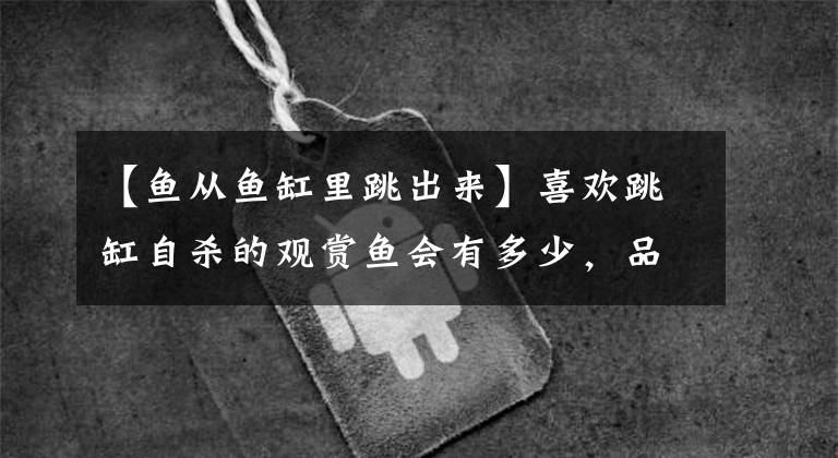 【鱼从鱼缸里跳出来】喜欢跳缸自杀的观赏鱼会有多少，品种太多了，可能根本数不过来