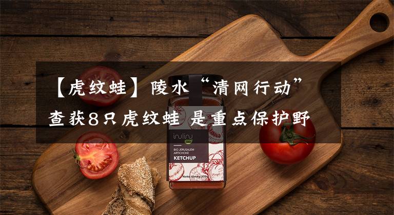 【虎纹蛙】陵水“清网行动”查获8只虎纹蛙 是重点保护野生动物