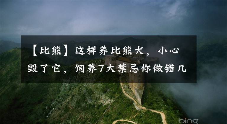 【比熊】这样养比熊犬,小心毁了它,饲养7大禁忌你做错几个