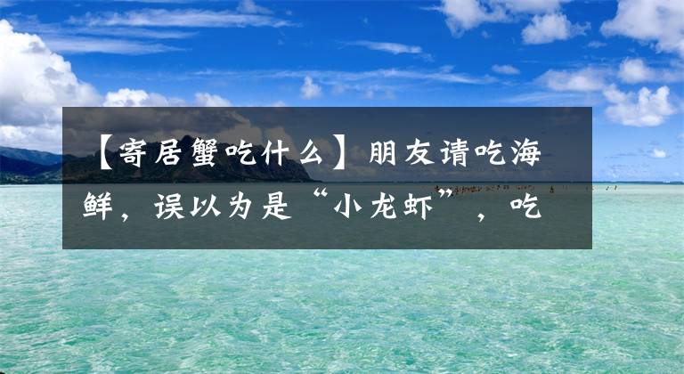 【寄居蟹吃什么】朋友请吃海鲜，误以为是“小龙虾”，吃了才发现不对，这是啥？