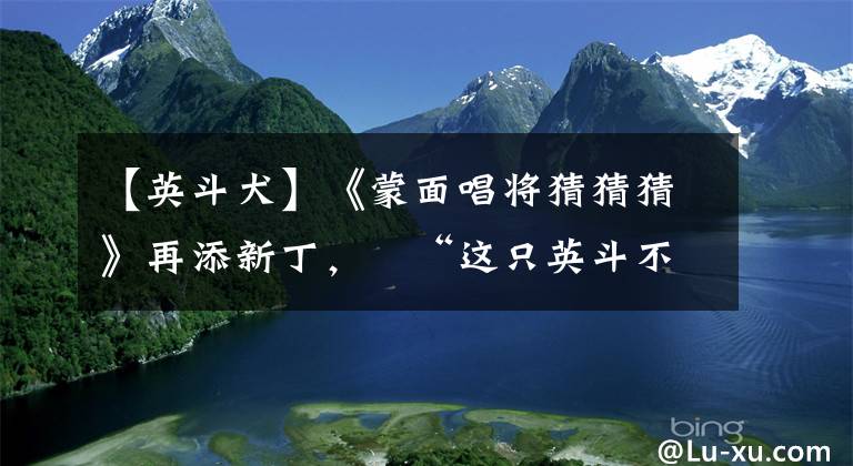 【英斗犬】《蒙面唱将猜猜猜》再添新丁，​“这只英斗不好惹”等三位唱将今晚登场