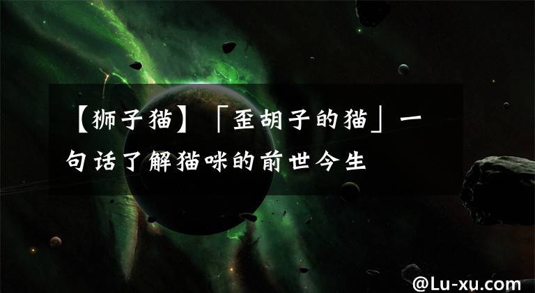 【狮子猫】「歪胡子的猫」一句话了解猫咪的前世今生