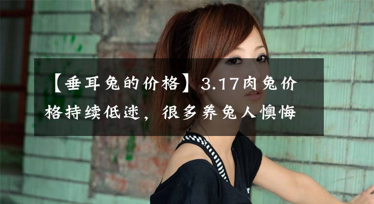 【垂耳兔的价格】3.17肉兔价格持续低迷,很多养兔人懊悔不已——兔子怎么办