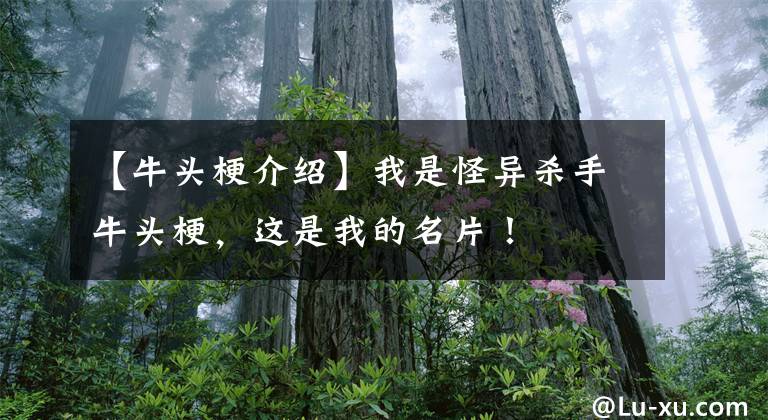 【牛头梗介绍】我是怪异杀手牛头梗,这是我的名片!