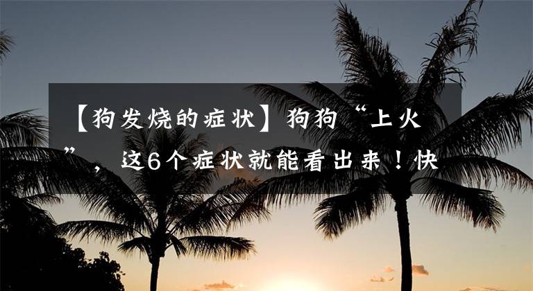 【狗发烧的症状】狗狗“上火”，这6个症状就能看出来！快检查一下