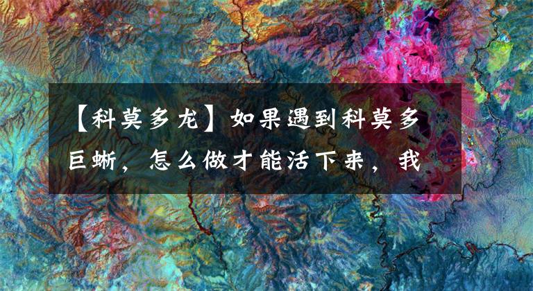 【科莫多龙】如果遇到科莫多巨蜥，怎么做才能活下来，我们能打得过它吗？