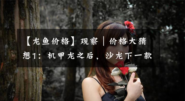 【龙鱼价格】观察｜价格大猜想1：机甲龙之后，沙龙下一款车要卖到50万元？