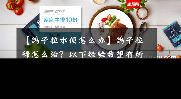 【鸽子拉水便怎么办】鸽子拉稀怎么治?以下经验希望有所帮助