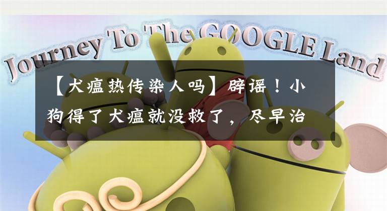 【犬瘟热传染人吗】辟谣!小狗得了犬瘟就没救了,尽早治疗或许还有一线生机