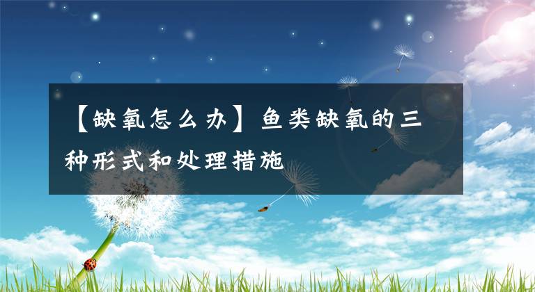 【缺氧怎么办】鱼类缺氧的三种形式和处理措施