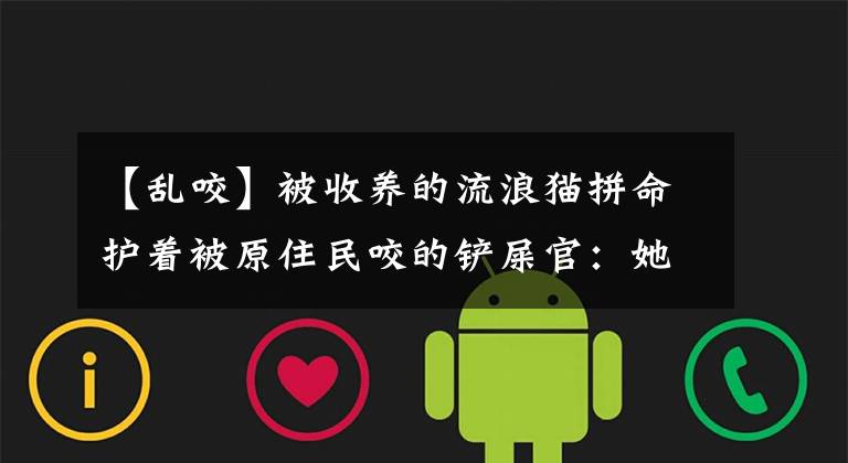 【乱咬】被收养的流浪猫拼命护着被原住民咬的铲屎官:她是我的一切